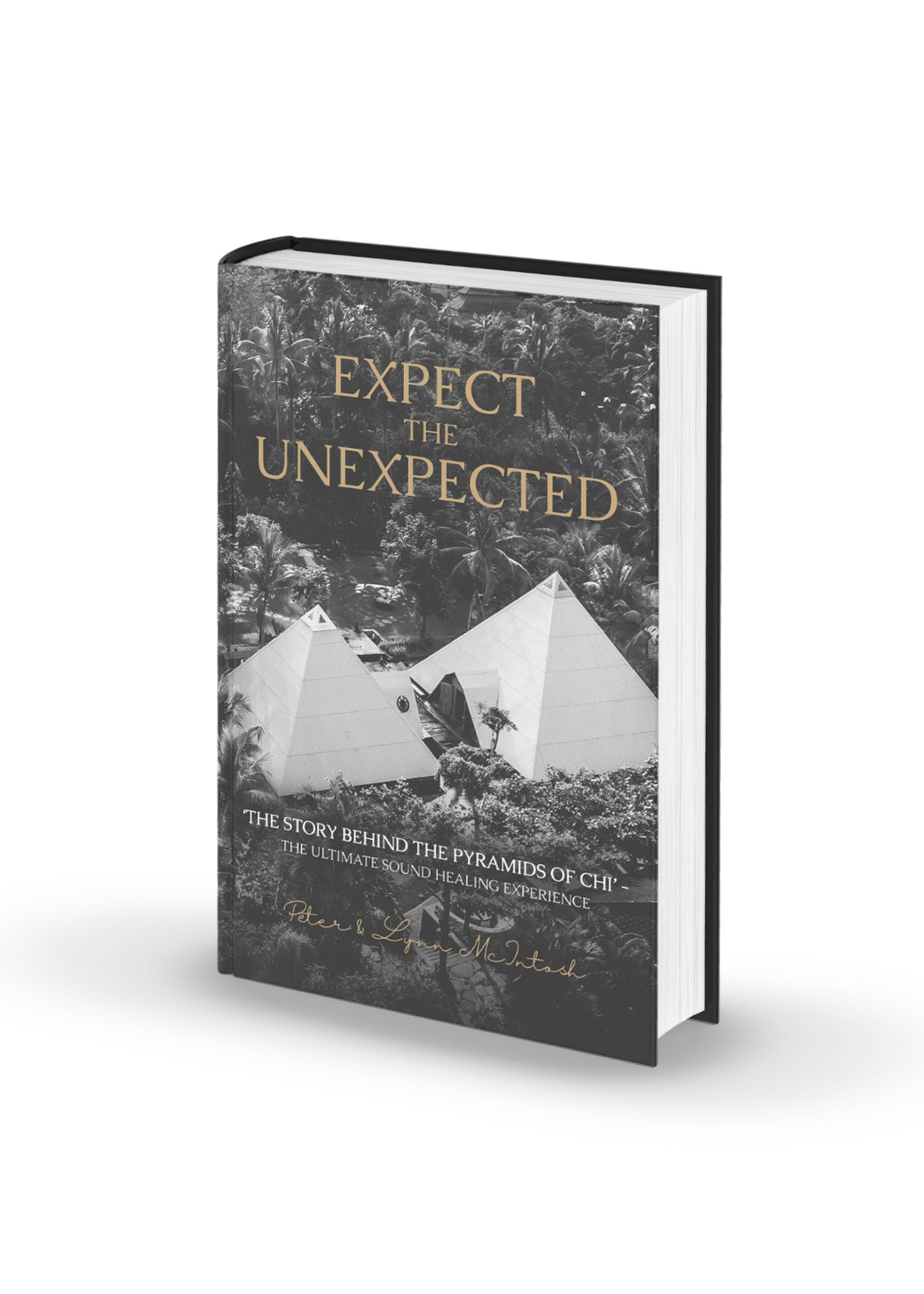 Expect the Unexpected Book [PRESALE]